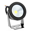 10W 3000K Warm White Light LED Waterproof Flood Light (12V)