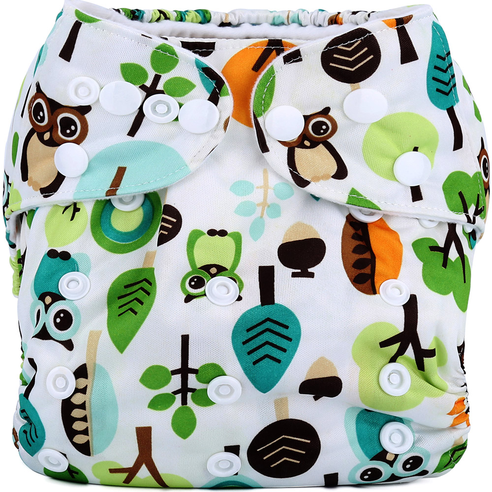 Adjustable Dino Print Cloth Diaper with One Insert