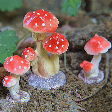 Mini Mushroom Toadstool Garden Ornaments Ideal For Plant Pots Fairy Garden