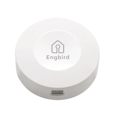 High Accuracy Wireless Bluetooth Thermometer Hygrometer Sensor Temperature Data Logger