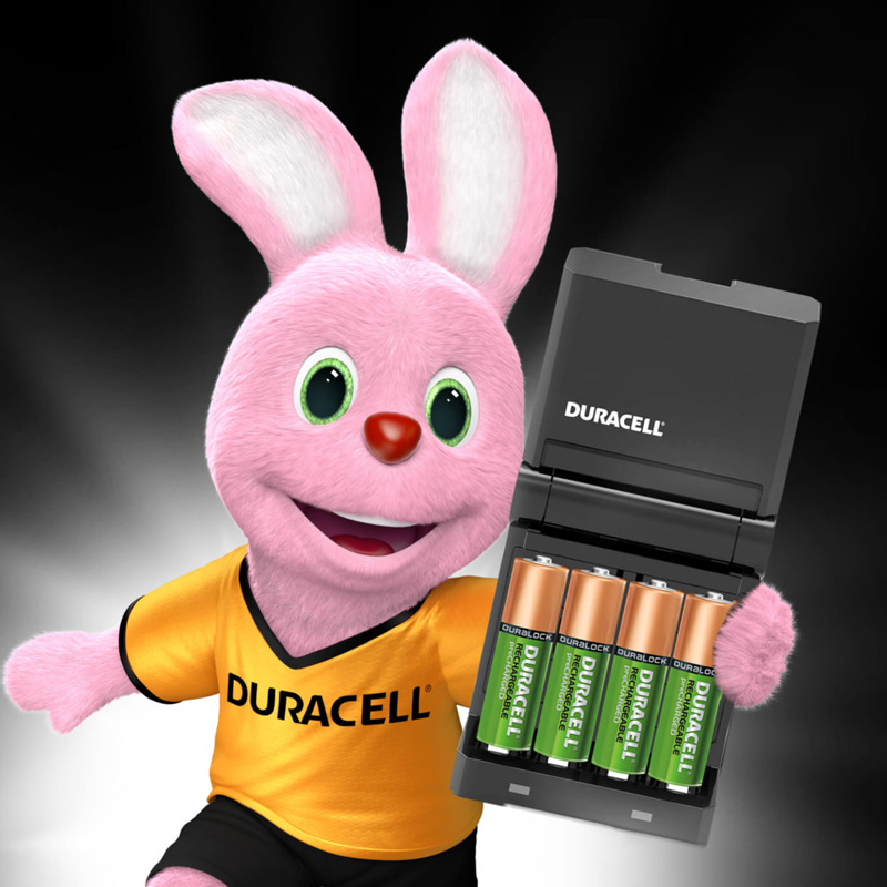 Duracell High-Speed Battery Charger + 2 x 1300mAh AA, 2 x 750mAh AAA Rechargeable Batteries
