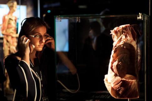 BODY WORLDS London - Standard Ticket