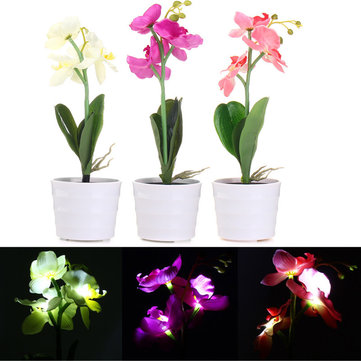 3LED Solar Powered Phalaenopsis Flower Stake Garden Yard Light Landscape Outdoor Decor