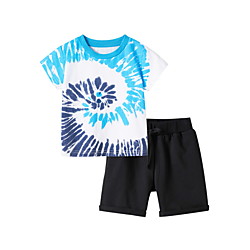 Kids Boys' T-shirt  Shorts 2 Pieces Short Sleeve White(Boy) Color Block Print Basic Regular 3-8 Years Lightinthebox