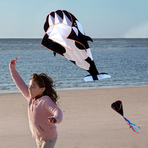 3D Kite énorme sans cadre doux Parafoil géant baleine Flying Kite
